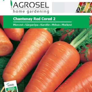 Sárgarépa, Chantenay Red Cored 2 - 7 g