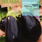 Padlizsán, Black Beauty - 3 g