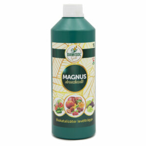 Damisol Magnus 1 l