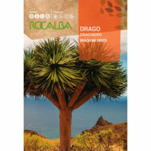 Sárkányfa - 4 szem