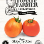 Paradicsom Farmer, Globe Trotter - 20 szem