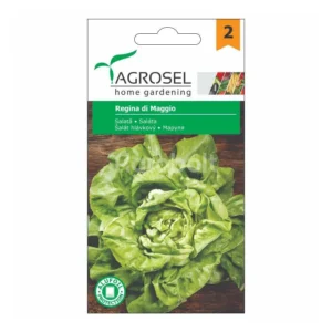 Saláta, Regina di Maggio - 1,5 g