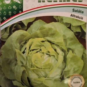 Saláta, Attrakció