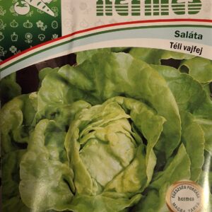 Saláta, Téli vajfej ~ 2100 szem