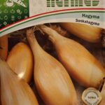 Hagyma, Sonkahagyma ~ 200 szem