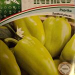 Paprika, Szentesi piacos ~ 20 szem