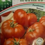 Paradicsom, Marmand ~ 100 szem