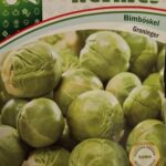 Bimbóskel, Groninger ~ 400 szem