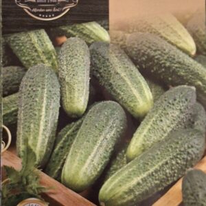 Uborka, Mohikán F1 - 1 g