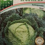 Kelkáposzta, késői ~ 400 szem