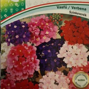 Vasfű (Verbena x hybrida) - 0,2 g