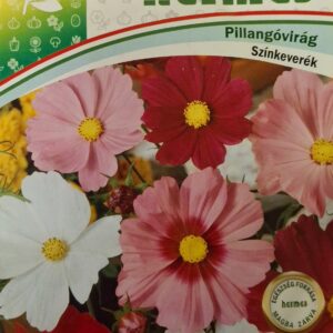 Pillangóvirág (Cosmos bipinnatus) - 1,5 g