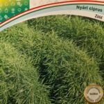 Nyári ciprus (Kochia scoparia) - 2 g