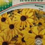 Kúpvirág (Rudbeckia hirta) - 1 g