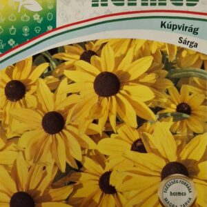 Kúpvirág (Rudbeckia hirta) - 1 g