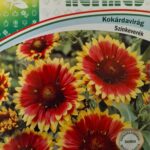 Kokárdavirág (Gaillardia pulchella) - 0,5 g