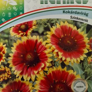 Kokárdavirág (Gaillardia pulchella) - 0,5 g