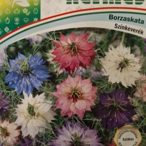 Borzaskata (Nigella damasceana) - 1 g