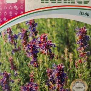Izsóp (Hyssopus officinalis) - 0,5 g