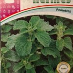 Pemetefű (Marrubium vulgare) - 0,5 g