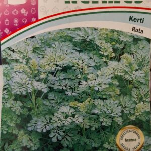 Ruta (Ruta graveolens) - 1 g