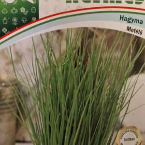 Metélőhagyma ~ 400 szem