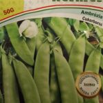 Cukorborsó, Ambrózia - 50 g