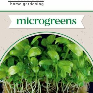 Bazsalikom csíráztatásra - 4 g