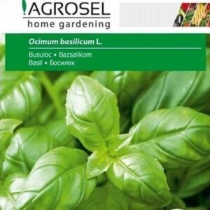 Bazsalikom vetőkorong