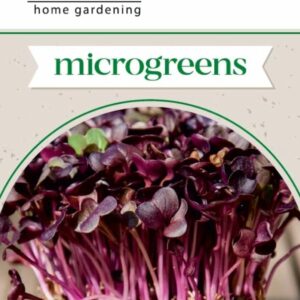 Agrosel Microgreens - Mikrozöldek - Ehető csíranövények