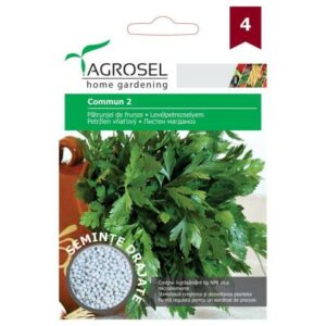 Drazsírozott levélpetrezselyem, Commun 2 ~ 370 szem