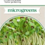 Lucerna csíráztatásra - 9 g