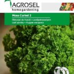 Moss Curled 2 levélpetrezselyem vetőszalag