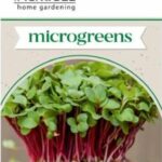 Retek csíráztatásra - 7 g