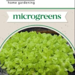 Saláta csíráztatásra - 5 g