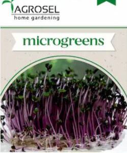 Lilakáposzta csíráztatásra - 8 g