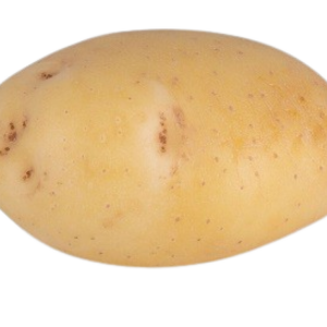 Estebana vetőburgonya - 50 szem