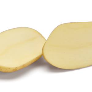 Jolene vetőburgonya - 50 szem