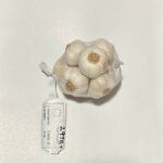 Tavaszi fokhagyma - 9 fej