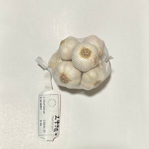 Tavaszi fokhagyma - 9 fej