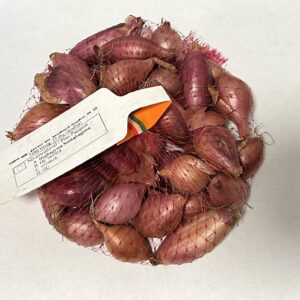 Őszi dughagyma, Sonkahagyma (lila) 250 g