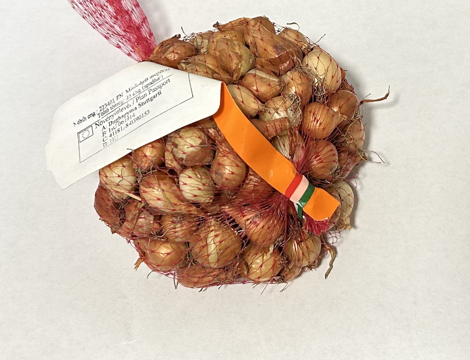 Őszi dughagyma, Stuttgarti 250 g