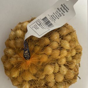 Őszi dughagyma, Stuttgarti (holland) 500 g