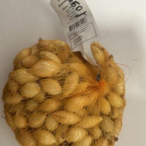 Őszi dughagyma, Shakespeare (holland) 500 g